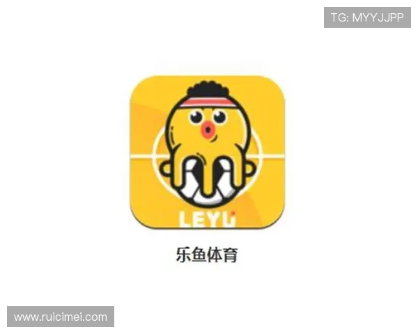 乐鱼体育app平台安全可靠性分析，保障用户个人信息与资金安全的全面措施